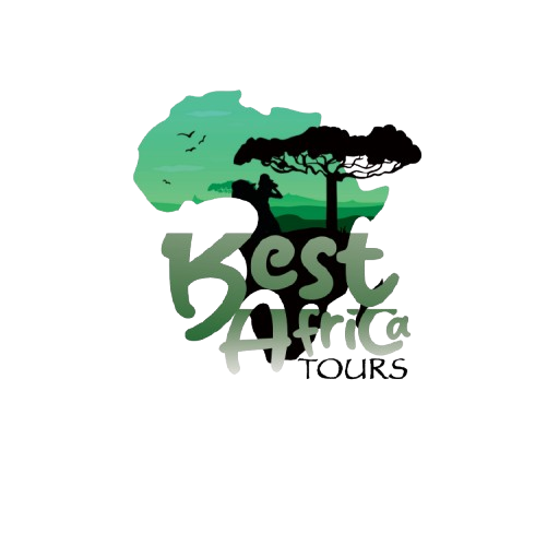 Best Africa Tours